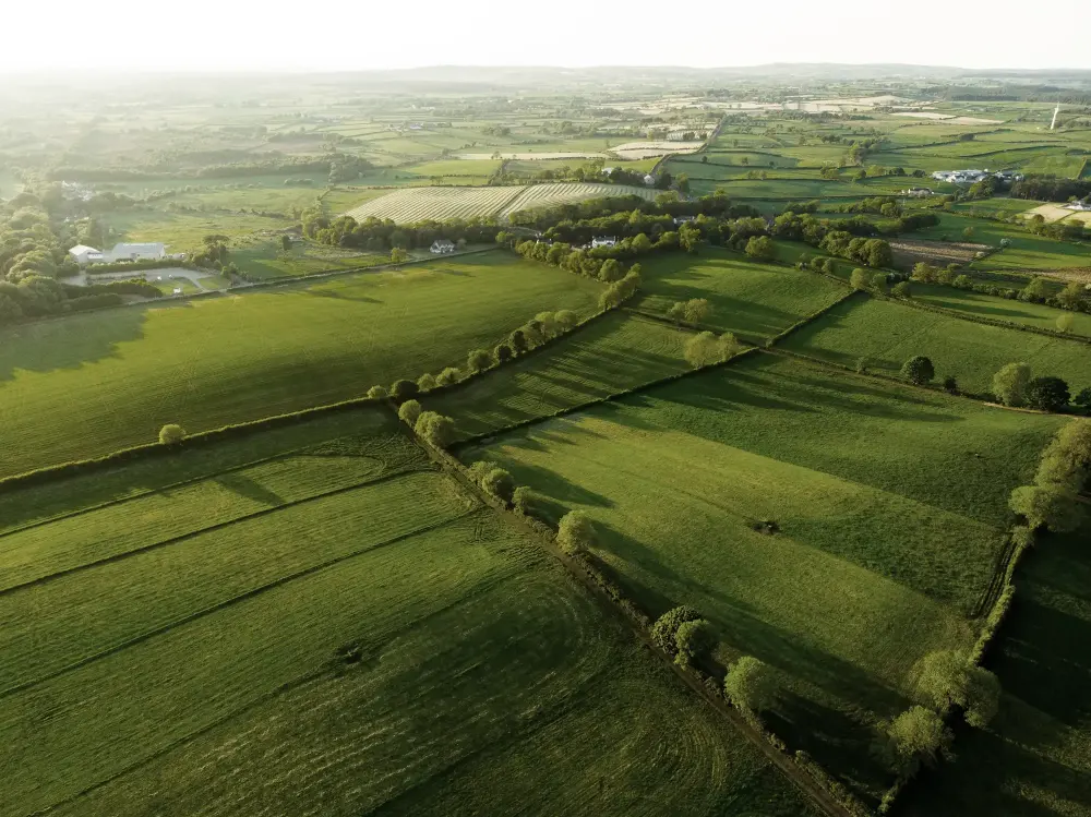 Mitarbeiter:in im Verkaufsaußendienst für den Bereich Fleischwaren ab 01.02.2026